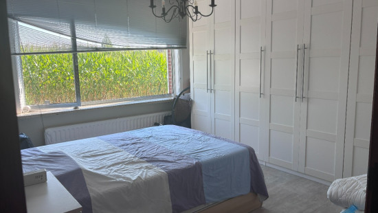 Beselarestraat - 121 - - 8940