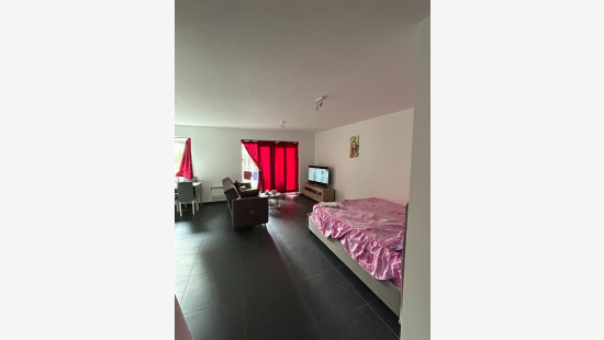 Waastenstraat - 40 - 3.2 - 7780