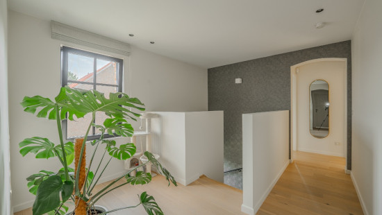 Rue de la Tuilerie - 44 - - 1350
