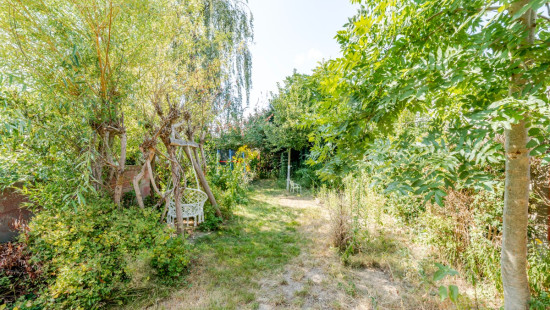 Myosotisstraat - 31 - - 9000
