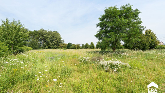 Steenweg - 84 - - 3440