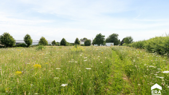 Steenweg - 84 - - 3440