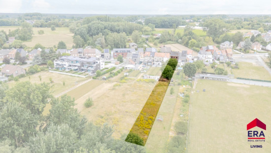 Pachting - 69 - - 9310