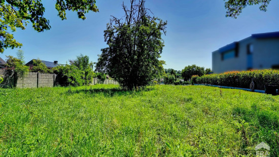 Rue Longchamp - 66 - - 1420