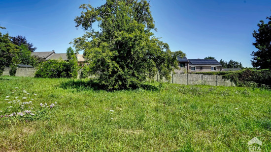 Rue Longchamp - 66 - - 1420