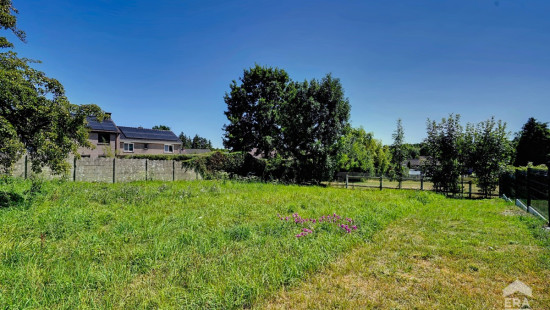 Rue Longchamp - 66 - - 1420