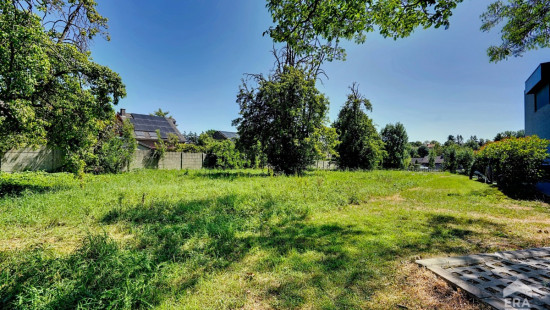 Rue Longchamp - 66 - - 1420