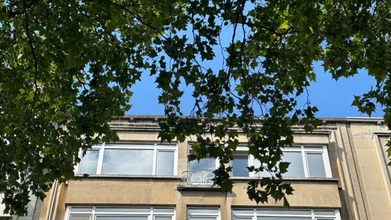 Mechelsesteenweg - 208 - - 2018
