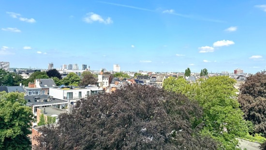 Mechelsesteenweg - 208 - - 2018