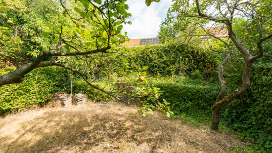 Watermolenstraat - 125 - - 1831