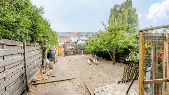 Sint Elooistraat - 3 - - 9200