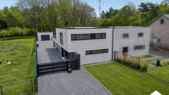 Wandelstraat - 23 - - 3600