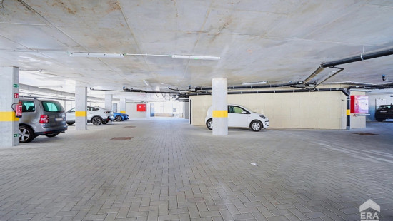 Angle Avenue Alphonse Allard et Albert 1er - 1 - - 1420