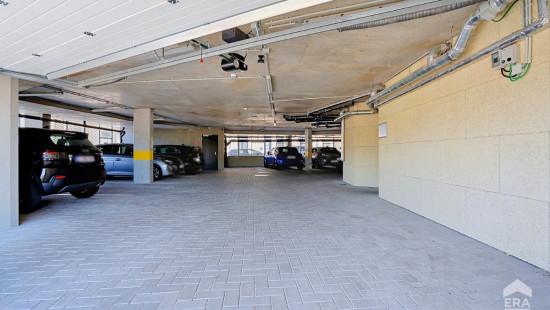 Angle Avenue Alphonse Allard et Albert 1er - 1 - - 1420