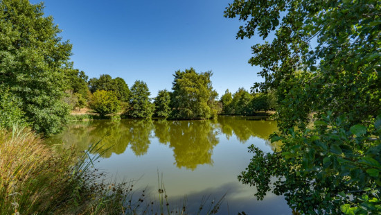Monaville - 1 - - 6600