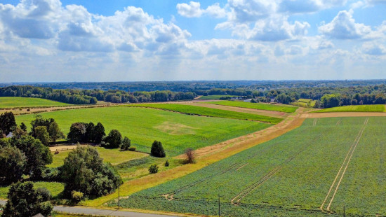 Poelweg - 16 - 10 - 3090