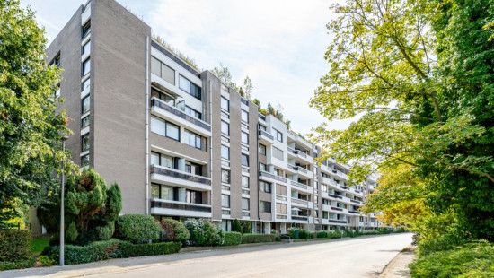 Rucaplein - 507 - - 2610