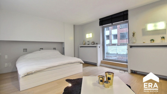 Rue Van Eyck - 46 - - 1050