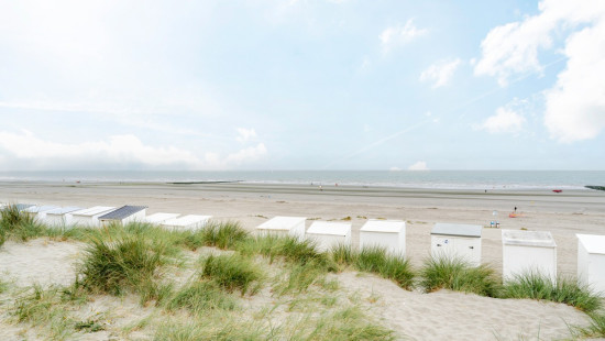 Zeedijk - 40 GLV - Velasquez - 8620