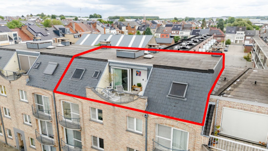 Moeder Tiburcestraat - 21 - 3 - 9400