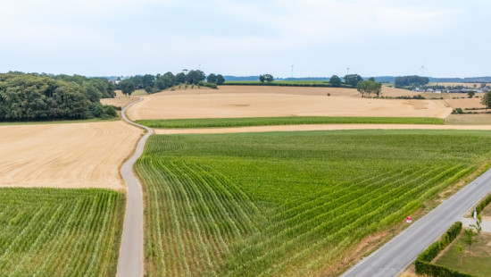Rue de Steinfort - 0 - - 6700