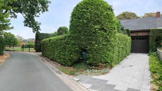 Hagevenweg - 28 - - 3910