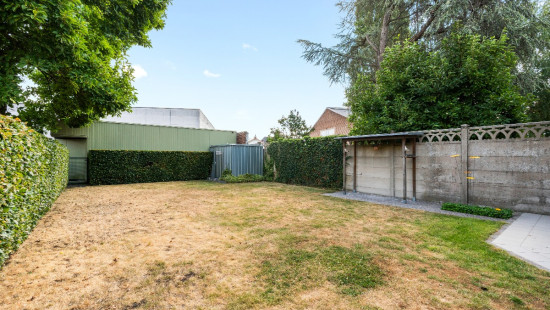 Liebaardstraat - 231 - - 8791