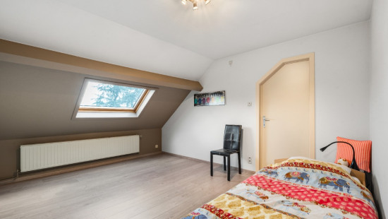 Liebaardstraat - 231 - - 8791