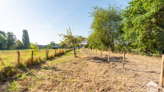 Grote Steenweg - 435 - - 3350