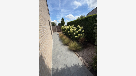 Nicolaus Muleriusstraat - 16 - - 8310