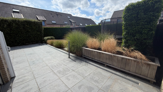 Nicolaus Muleriusstraat - 16 - - 8310