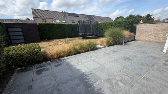 Nicolaus Muleriusstraat - 16 - - 8310