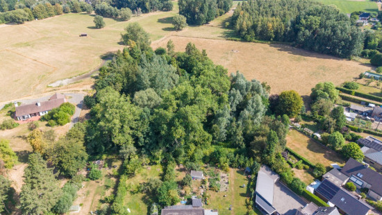Pachting - X - - 9310