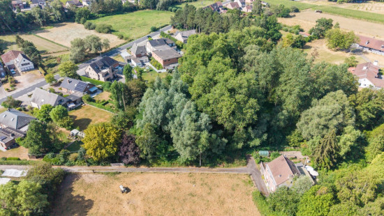 Pachting - X - - 9310