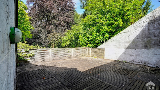 Rue des Piges - 3 - - 6031