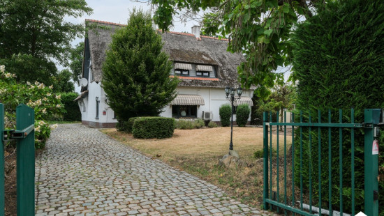 Ringlaan - 143 - - 3900