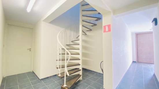 Moeskroenstraat - 695 - 0101 - 8930