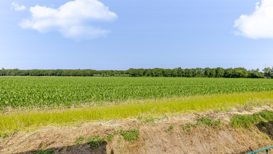 Zoutweg - 34 - - 9950