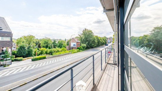 Ninoofsesteenweg - 253 - B201 - 1700