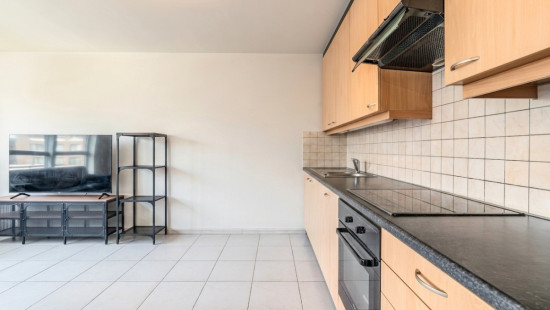Ninoofsesteenweg - 253 - B201 - 1700