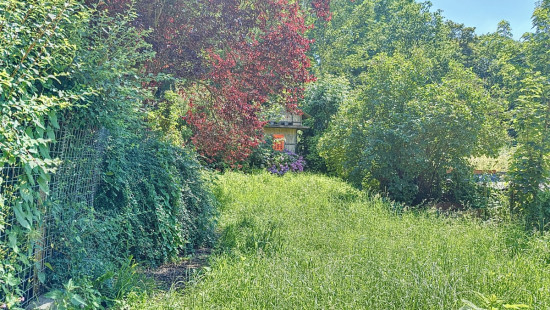 Rue du Long Thier - 28 - - 4500