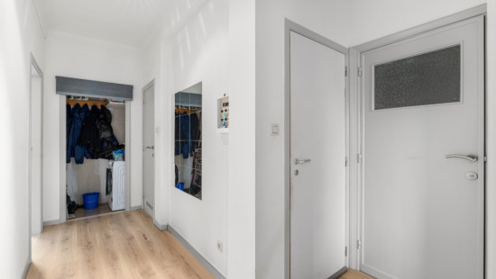 Antwerpsestraat - 251 - 2 - 2640