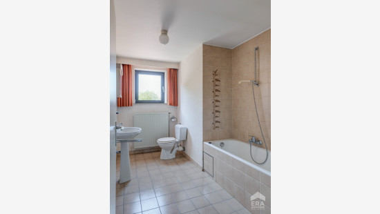 Romeinse Kassei - 87 - - 174 A/2 P0000 - 3700