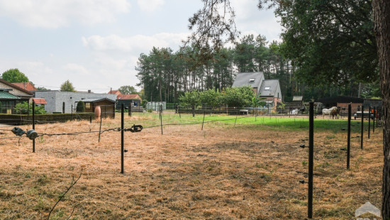 Beningstraat - 49 - - 2230