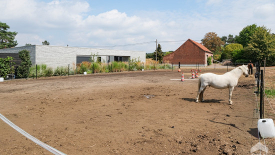 Beningstraat - 49 - - 2230