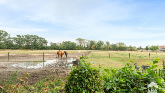 Wilgenweg - 10 - - 3950