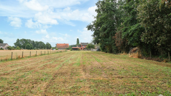 Ramselsesteenweg - 69 - - 2230