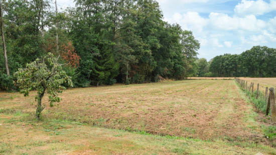 Ramselsesteenweg - 69 - - 2230