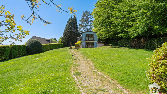Wortelenberg - 48 - - 1653