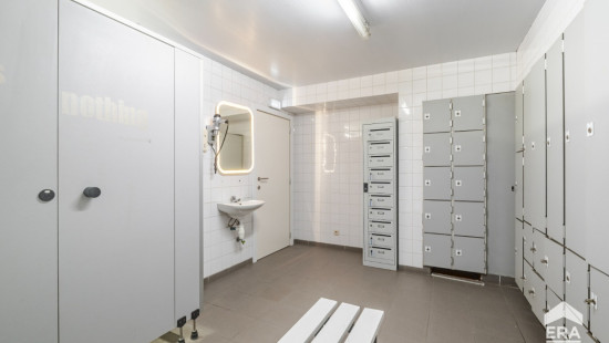 Wijngaardstraat - 36 - - 1703